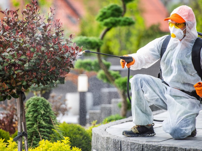 Çan Haşere İlaçlama